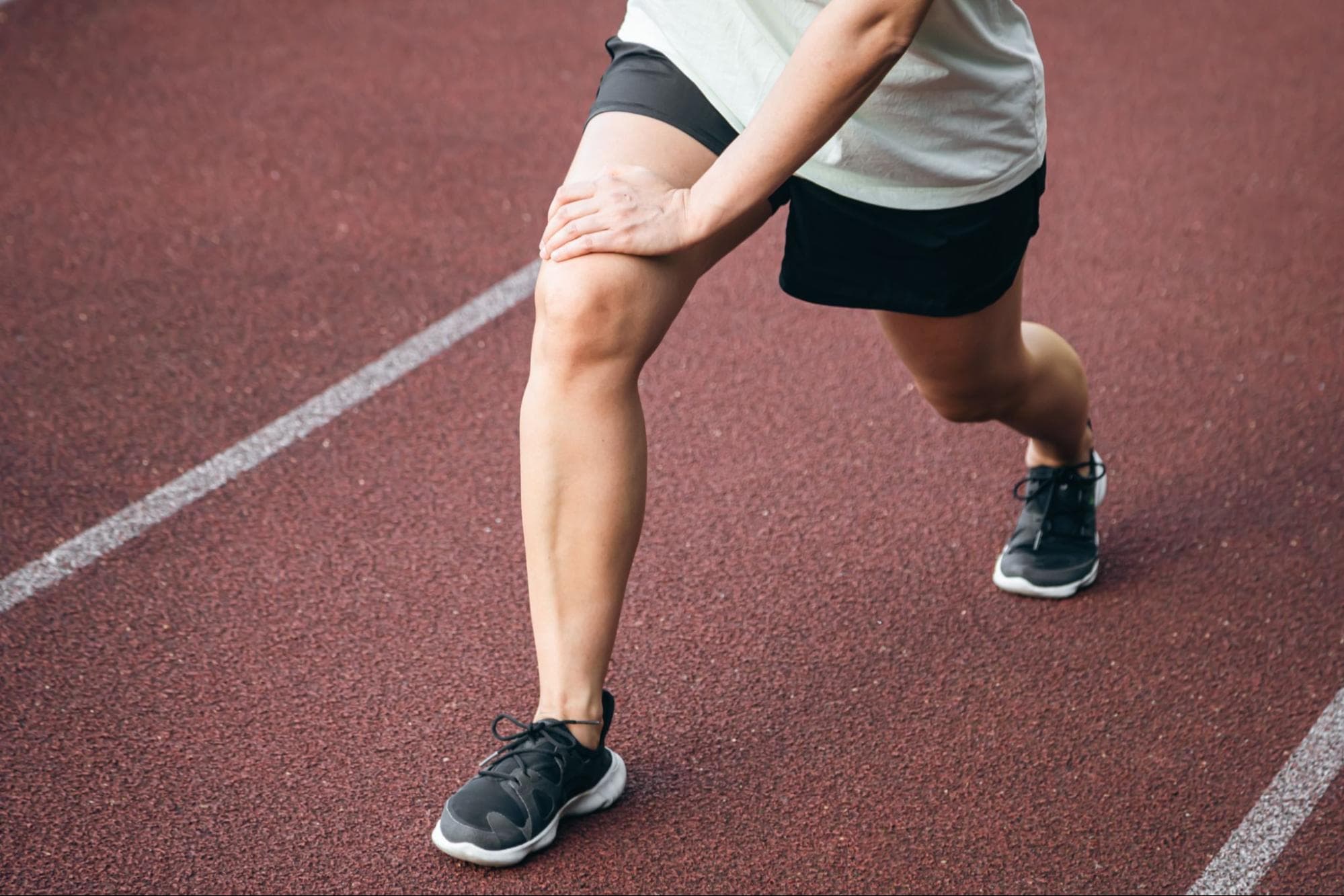 anterior cruciate ligament