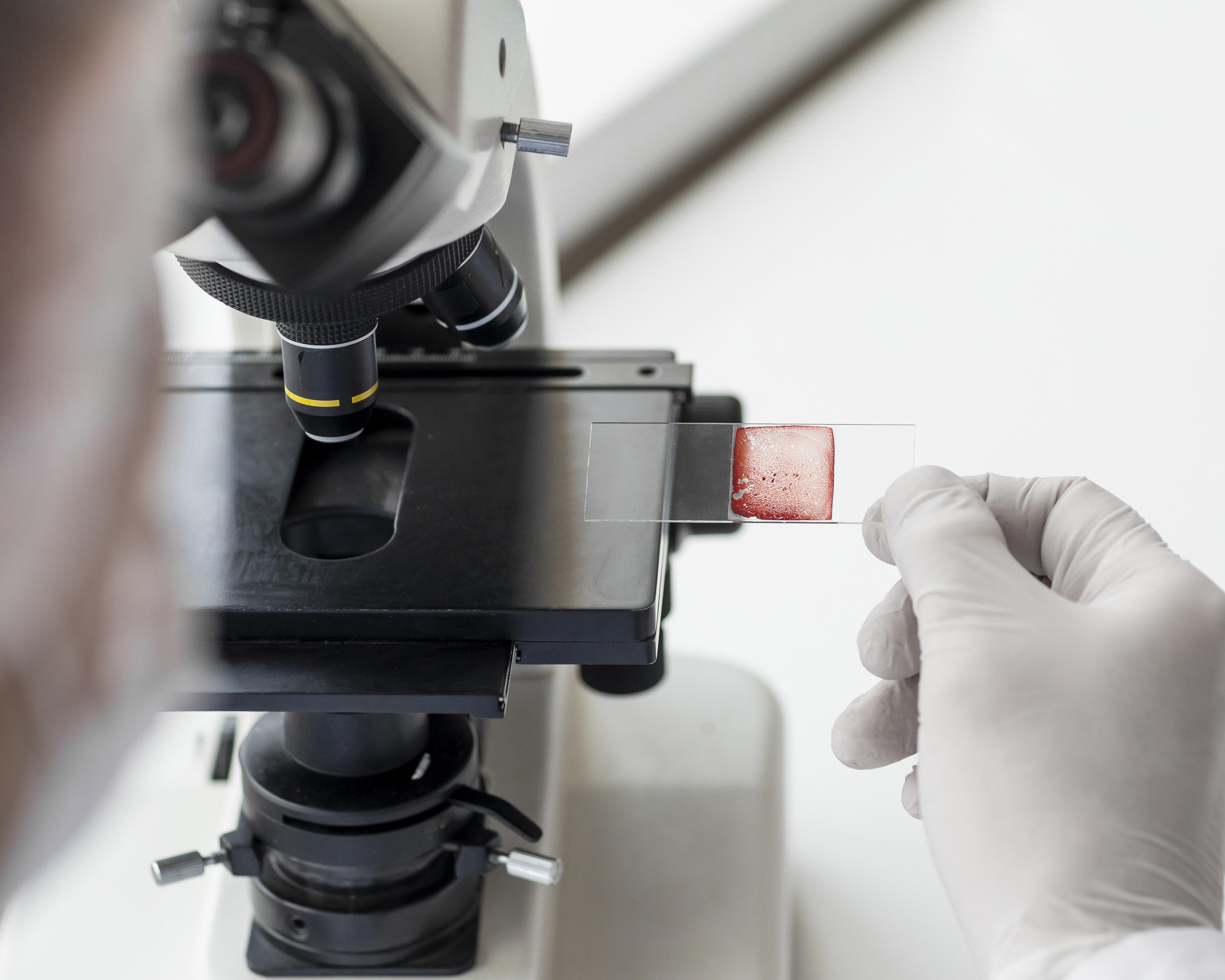 ขั้นตอนการตรวจ DNA