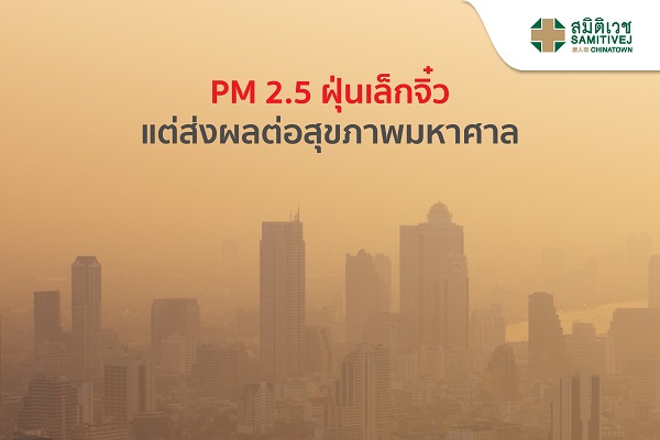 PM 2.5 ฝุ่นเล็กจิ๋ว แต่ส่งผลต่อสุขภาพมหาศาล